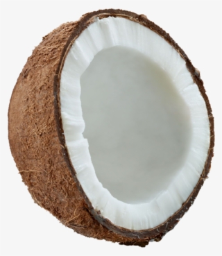 Coconut - Wood