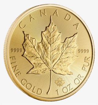 1 Oz 2019 Canadian Maple Leaf Gold Coin - Coin