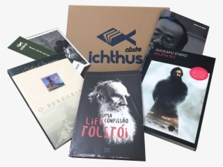 Kit De Junho De - Chewbacca