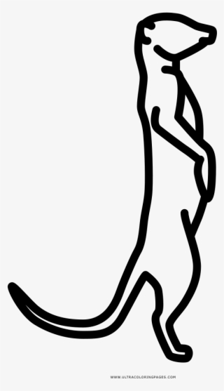 Meerkat Coloring Page - Figure Drawing