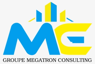 Megatron Consulting - Baby Beluga Book