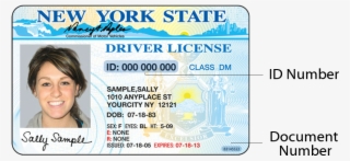 New York Driving License 2018