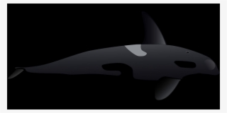 Whale Free Transparent Cutouts - Shark
