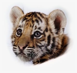 Blountstown Elementary School