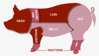 Pork Clipart Pig Butcher - Pork Meat Pieces