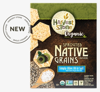 Organic Sprouted Native Grains Crackerssimply Olive - Harvest Stone Olive Oil Crackers