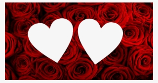 Molduras Dia Dos Namorados Para - Dia Dos Namorados Png