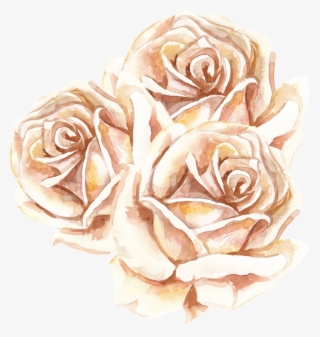Korean Flower Transparent - Floribunda