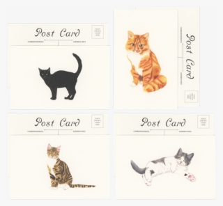 Cats Postcards-set Of