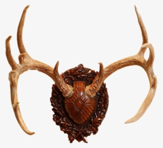 Deer Horns Png