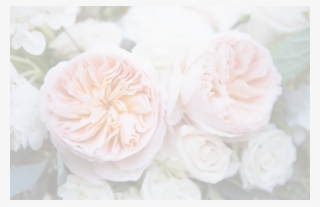 Banner Flowers Even Lighter