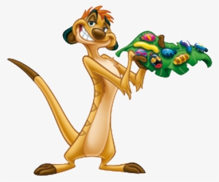 Timon