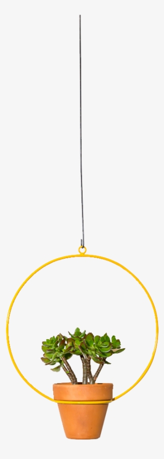 Hanging Circle Planter 10" - Flowerpot