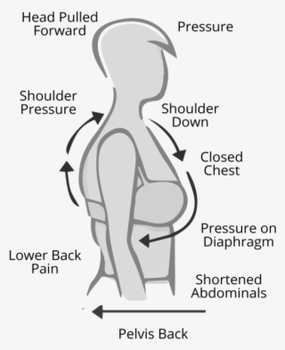 Ewa Michalak, Plus Size Model, Plus Size Lingerie, - Poster