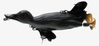 Savage Gear 3d Topwater Suicide Duck Small Animal Wakebait - Savage Gear Duck Black