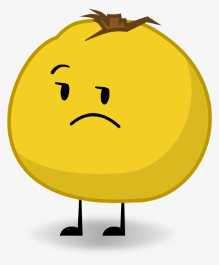 Quince - Object Connects Quince