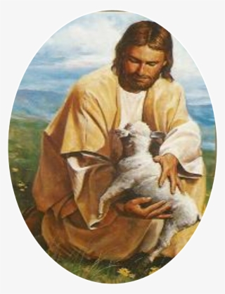 Jesus And Sheep