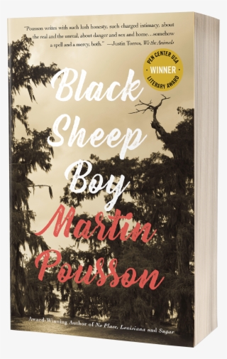 Black Sheep Boy - Poster