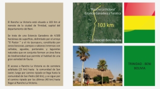 Contacto - Sabal Palmetto