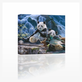 Panda Near Waterfalls