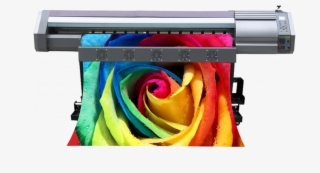 Grandes Formatos - Rose