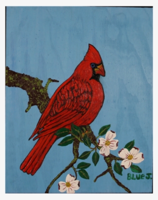 "cardinal On A Dogwood Branch" Around Back At Rocky's - Northern Cardinal