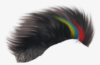 Free Png Download Hair Png Images Background Png Images - Hair Style For Photo Editing