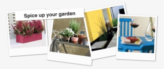 Bi 10 Year Exterior Satin Polariod - Diseño De Ambientes