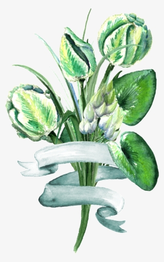 Estilo Elegante Planta Verde Png Transparente - Bouquet