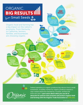 Org Flyer - Organic Farming Brochure