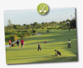 Activity Safaris Golf Safari - Grass