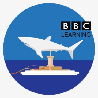 Exploring Shark Movement - Salem Events