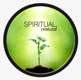 Spiritual Renewal - Plant A Tree And Add A New Friend In Your Life