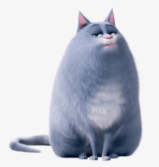 The Secret Life Of Pets Chloe - Chloe Secret Life Of Pets