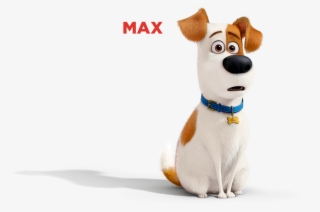 Maaax - Kis Kedvencek Titkos Élete Max