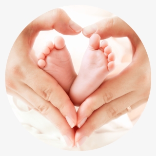 Basic Family Course - Baby Hand