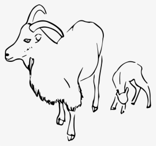 Goat Vector Image - Vector Cabrito