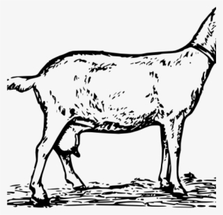 Goat Clipart Free Simple Goat Drawing Goat Clip Art - Goat Clip Art Black And White