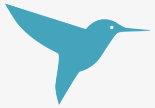 Apollo - Hummingbird