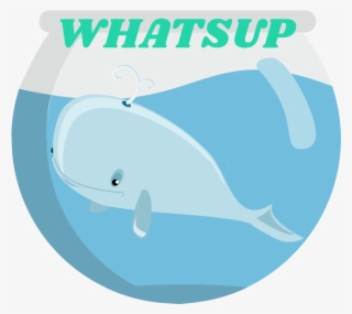 Whatsup 1 Original - Whale