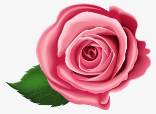 Rose Transparent Png Clip Art - Free Transparent Roses Clipart