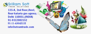 Website Designing In Bhim Nagar And Bhgal,web Development - Lycaenid