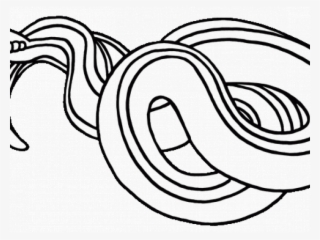 Snake Clipart Black And White Garter Snake Clipart - Line Art
