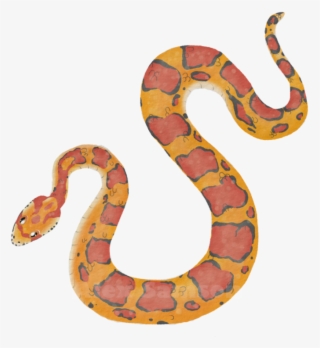 Corn Snake Png - Dibujo Serpiente Del Maiz