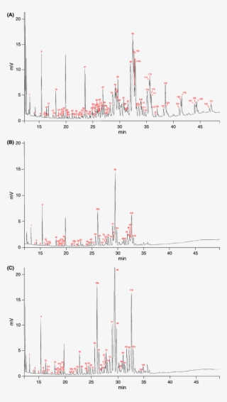 Gas Chromatograms Of Total Body Wash Of 30 Workers - Diagram