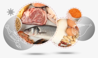 Meat Egg Legumes - Et Yumurta Kuru Baklagiller Grubu