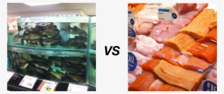 Peiqi Tang - Duck Meat