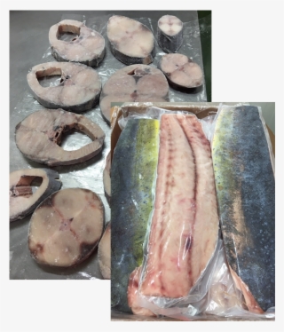 Neem Contact Op - Anchovy (food)