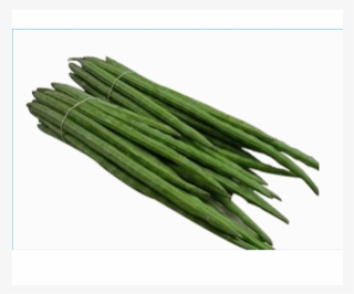 Fresh Drumsticks - Chives