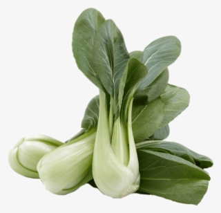 Vegetables - Bok Choy Woolworths